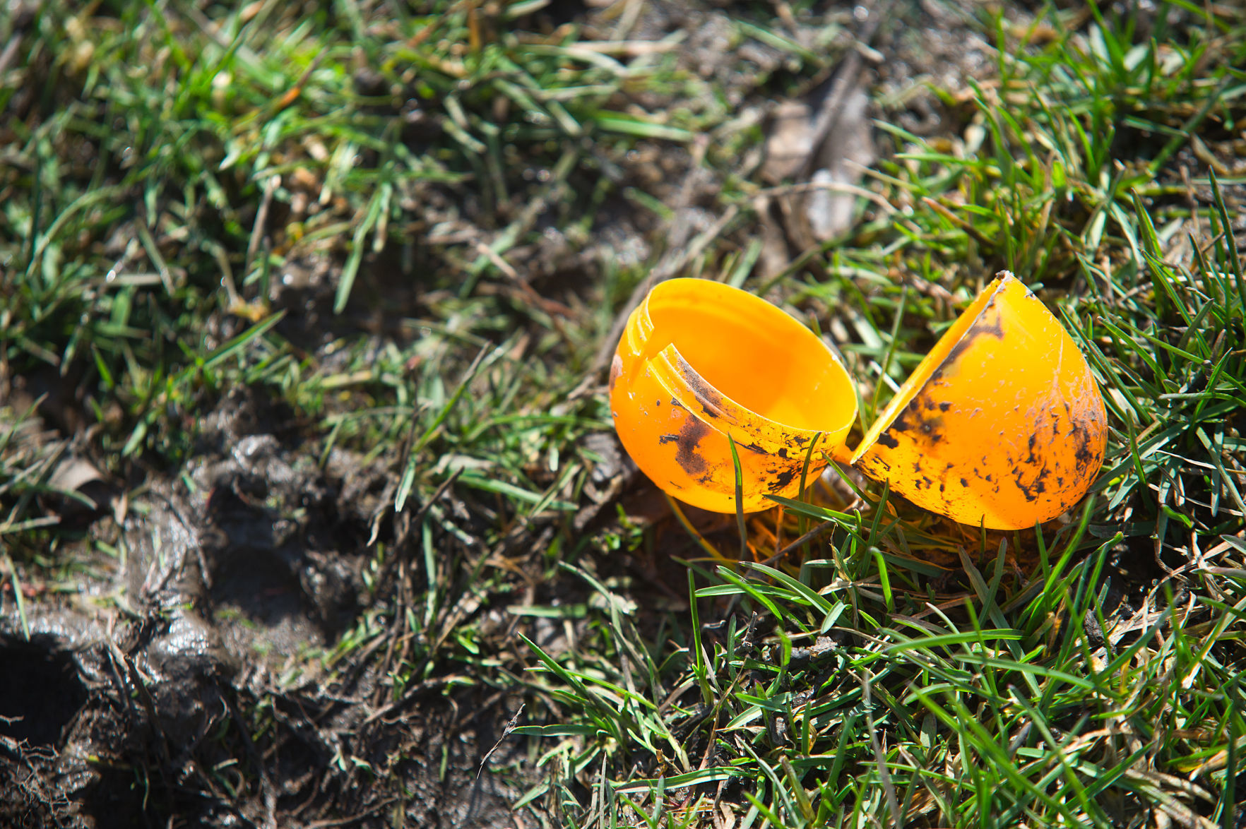 040719-blm-loc-22eastereggs